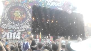 Piersi - System, Woodstock 2014 Poland Festival