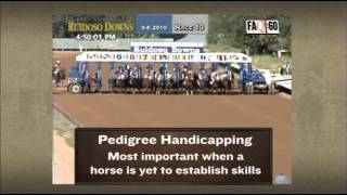 FAQ :60 -- PEDIGREES Profile