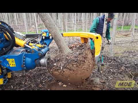 ভিডিও: রাশিয়ান স্নিপিং অস্ত্র