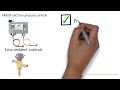 Planned Refrigeration Maintenance for all your refrigerator units. Fridge and freezer maintenance.
