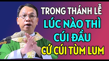 KHI THAM DỰ THÁNH LỄ THÌ LÚC NÀO THÌ CÚI ĐẦU | CHA THỦ GIẢNG VÀ GIẢI ĐÁP THẮC MẮC PHỤNG VỤ