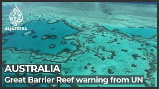 ‘In danger’: UNESCO flags risk to Australia’s Great Barrier Reef ‘In danger’: UNESCO flags risk to Australia’s Great Barrier Reef