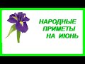 Народные приметы на июнь