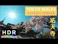 【4K HDR】Tokyo Walks - Yutenji Temple - 祐天寺 - Meguro, Tokyo, Japan - 2020 - 東京目黒