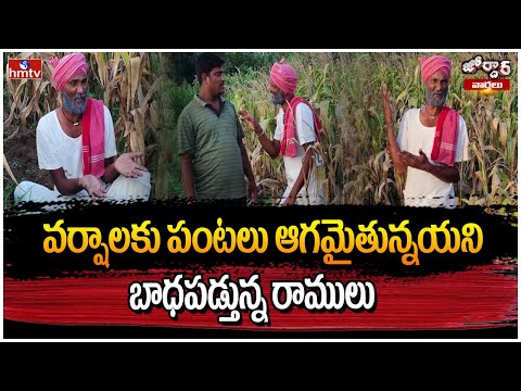 వర్షాలకు పంటలు ఆగమైతున్నయని బాధపడ్తున్న రాములు | Jordar Ramulu | Jordar Varthalu | hmtv - HMTVNEWS