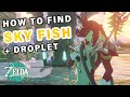 Where to Find the Land of the Sky Fish + Droplet ► Zelda: Tears of the Kingdom