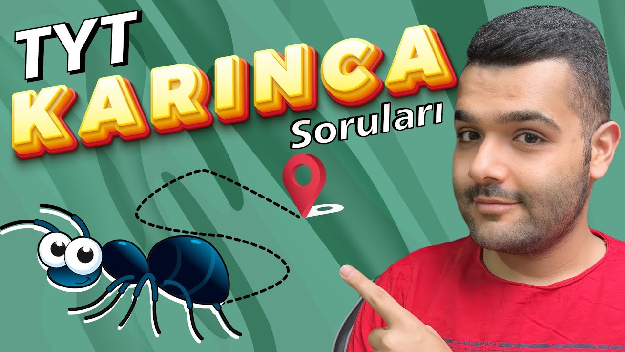 TYT Karınca Soruları Nasıl Çözülür ? | Tek Hamlede Öğren !
