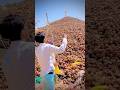 खुशखबरी !!! #bhakti #bhajan #sanatandharma #viral #trending #youtubeshorts
