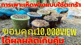 การเพาะเห็ดฟางแบบใช้ตะกร้า การเพาะเห็ดฟางแบบใช้ตะกร้า