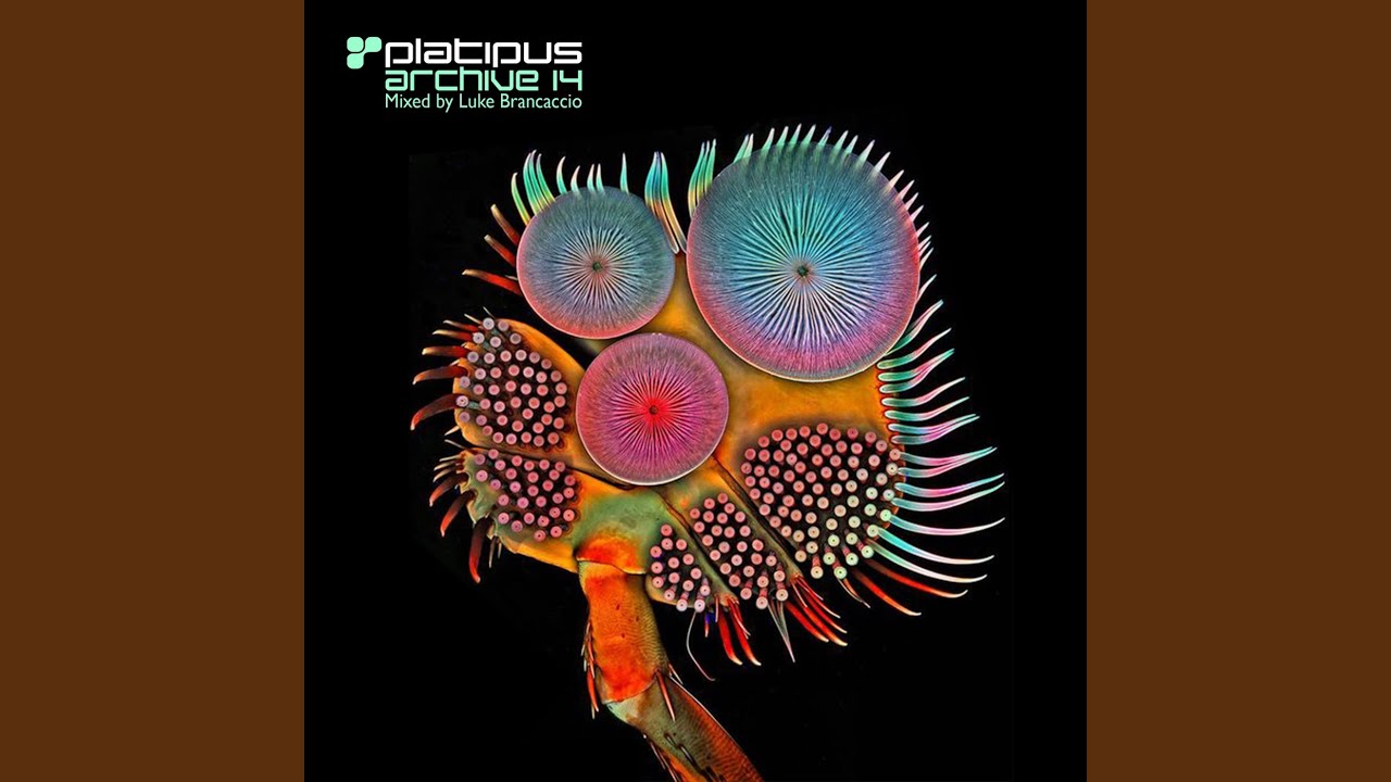 Rococco (Original Mix - Remastered)