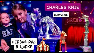 видео: ВЛОГ: первый раз в цирке 🎪 CHARLES KNIE | детские эмоции | об однообразии будней и радостях  💛 картинка: ВЛОГ: первый раз в цирке 🎪 CHARLES KNIE | детские эмоции | об однообразии будней и радостях  💛