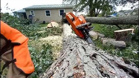 Stihl 500i vs ported Echo 7310 by Charles Brisco