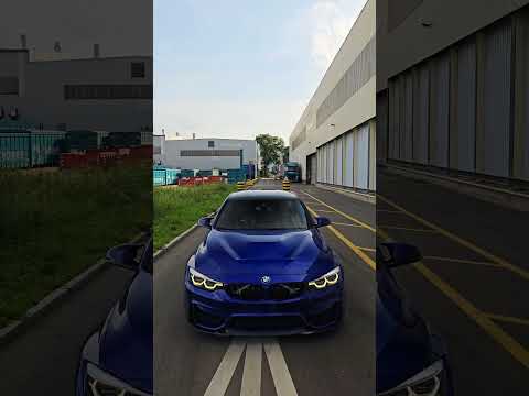 BMW: Unveiling the