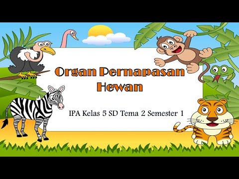 Organ Pernapasan pada Hewan IPA Kelas 5 SD | Tema 2 | Semester 1