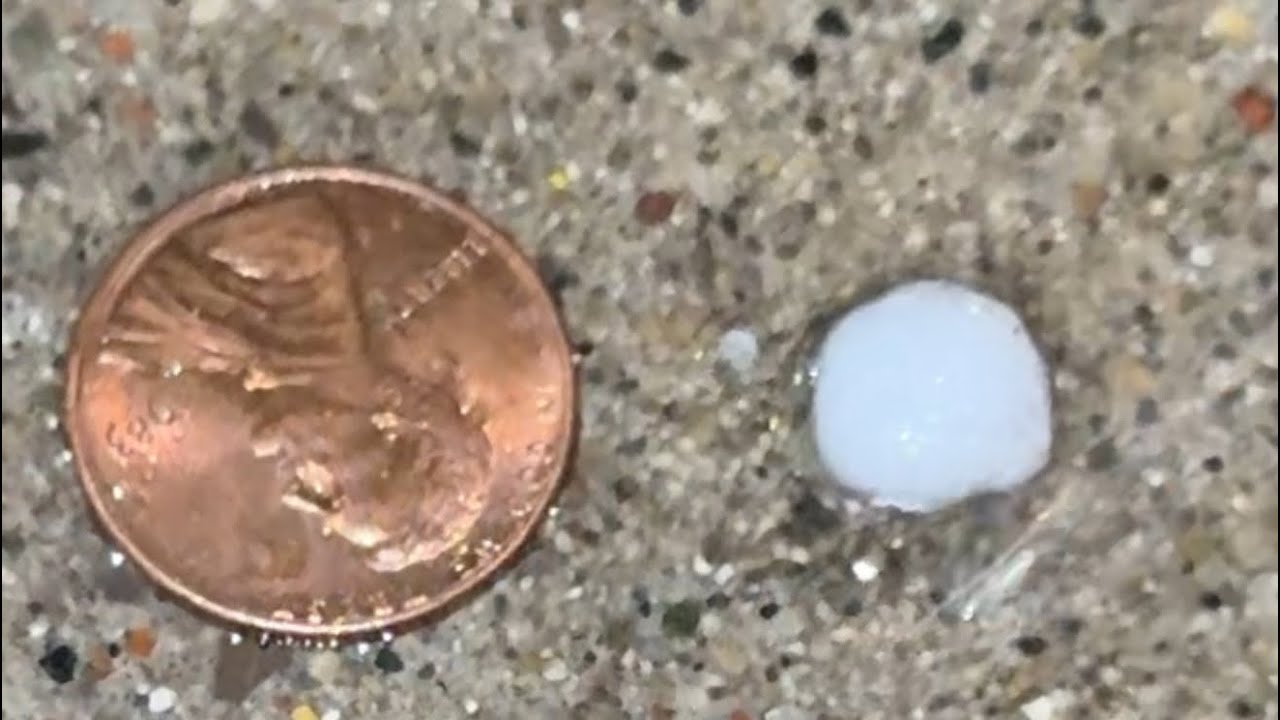 Pea sized hail in Romeo, MI 