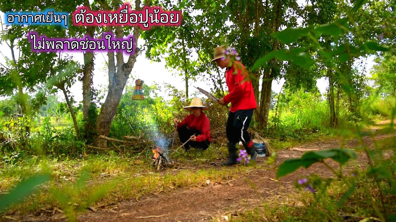 ใส่เบ็ดปลาตอนกลางวัน กินข้าวริมห้วย อากาศเย็นๆต้องเหยื่อปูน้อย ไม่พลาดช่อนใหญ่/บ้านนาพาสุข EP.573