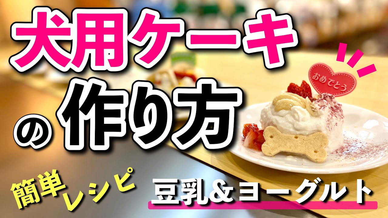 犬用ケーキの作り方 豆乳 ヨーグルト で簡単デコレーションケーキ Youtube