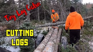 Cutting Logs for my Tiny Log Cabin and More Trouble on the Trail by 13prevail Bushcraft 3,964 views 1 year ago 14 minutes, 47 seconds