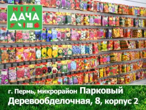 Маяк Пермь Магазин На Деревообделочной Режим Работы Маяк Пермь Магазин На Деревообделочной Режим Работы
