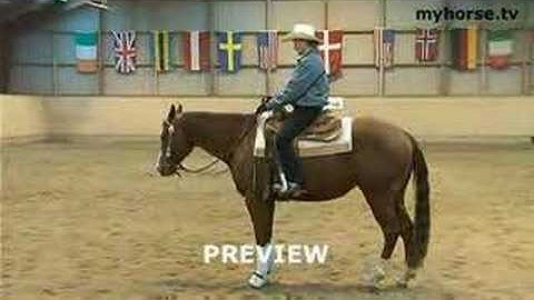 Western Reining - Basics Stop & Back