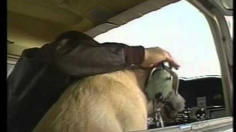 Sequence 1-Untitled Project 1-H.264.mov