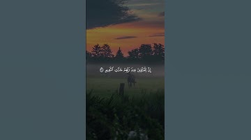 تلاوه خاشعه للشيخ ماهر المعيقلي