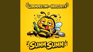 Summ Summ - LEBENDESTIM & HerzogTV