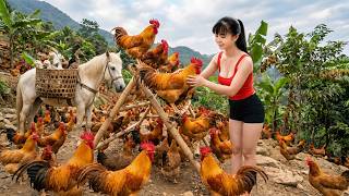 [TIMELAPSE] -- 488 Days Harvesting A Lot Of Chicken, Duck Go To Village Market Sell