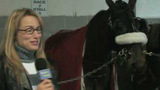 Greek Mythology Lesson About Horses!
