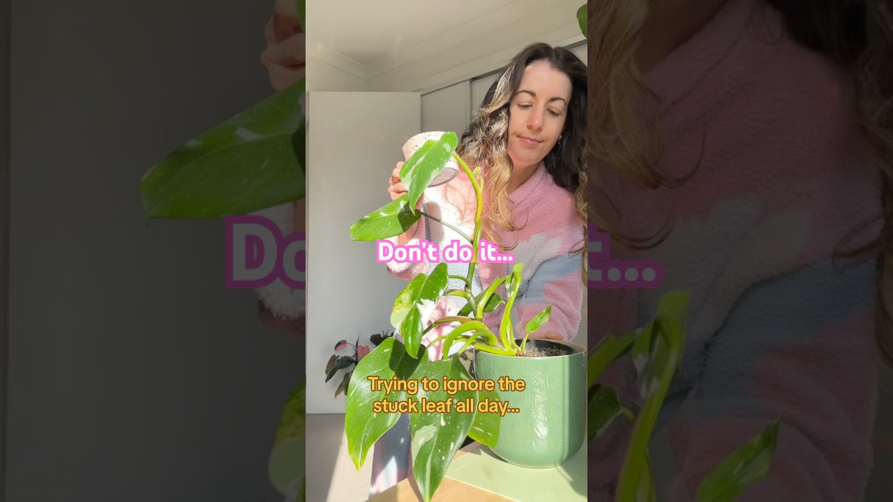 Я это сделала! 😁 Кто ещё не может оставить медлительный лист в покое?! 