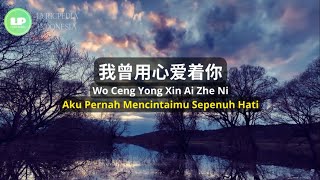 Wo Ceng Yong Xin Ai Zhe Ni《我曾用心爱着你》【Lagu Mandarin】- 潘美辰 [SubIndo/Pinyin Lyric & terjemahan]