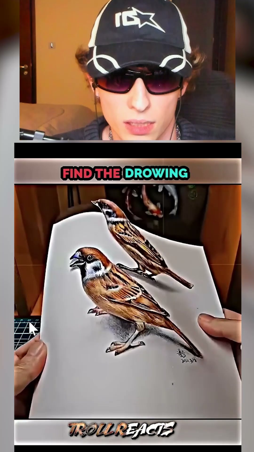 Lograste ENCONTRAR el DIBUJO❓??