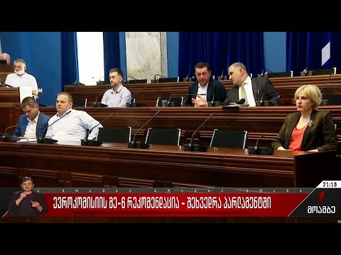 ევროკომისიის მეექვსე რეკომენდაცია - შეხვედრა პარლამენტში