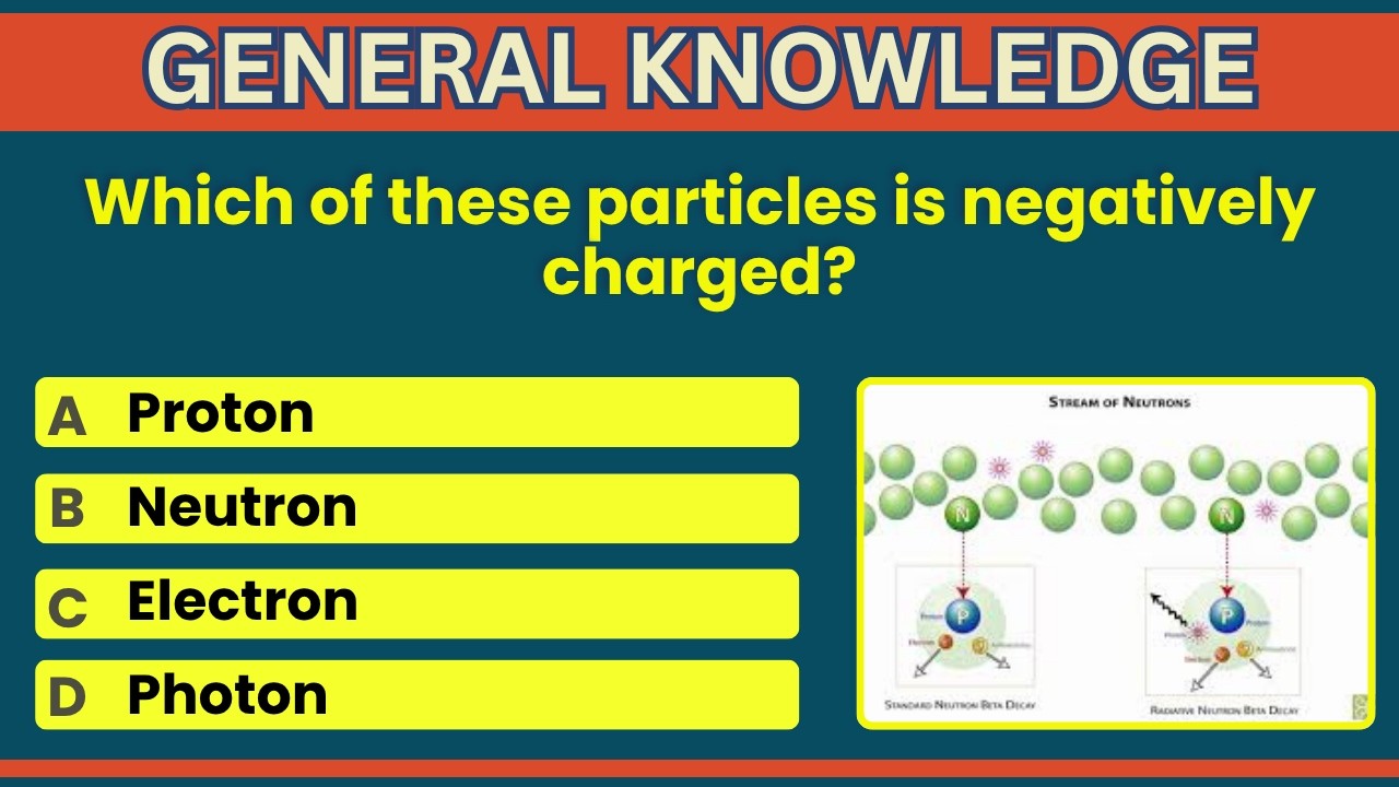 How Good Is Your General Knowledge? Take This 10-question Quiz To Find Out! #generalknowledge #GK