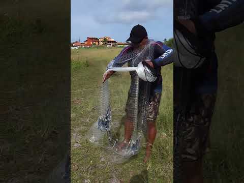 آموزش پرتاب تور سالیک