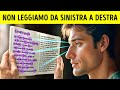 Fatti Sorprendenti sul Corpo Umano che Non Hai Mai Sentito