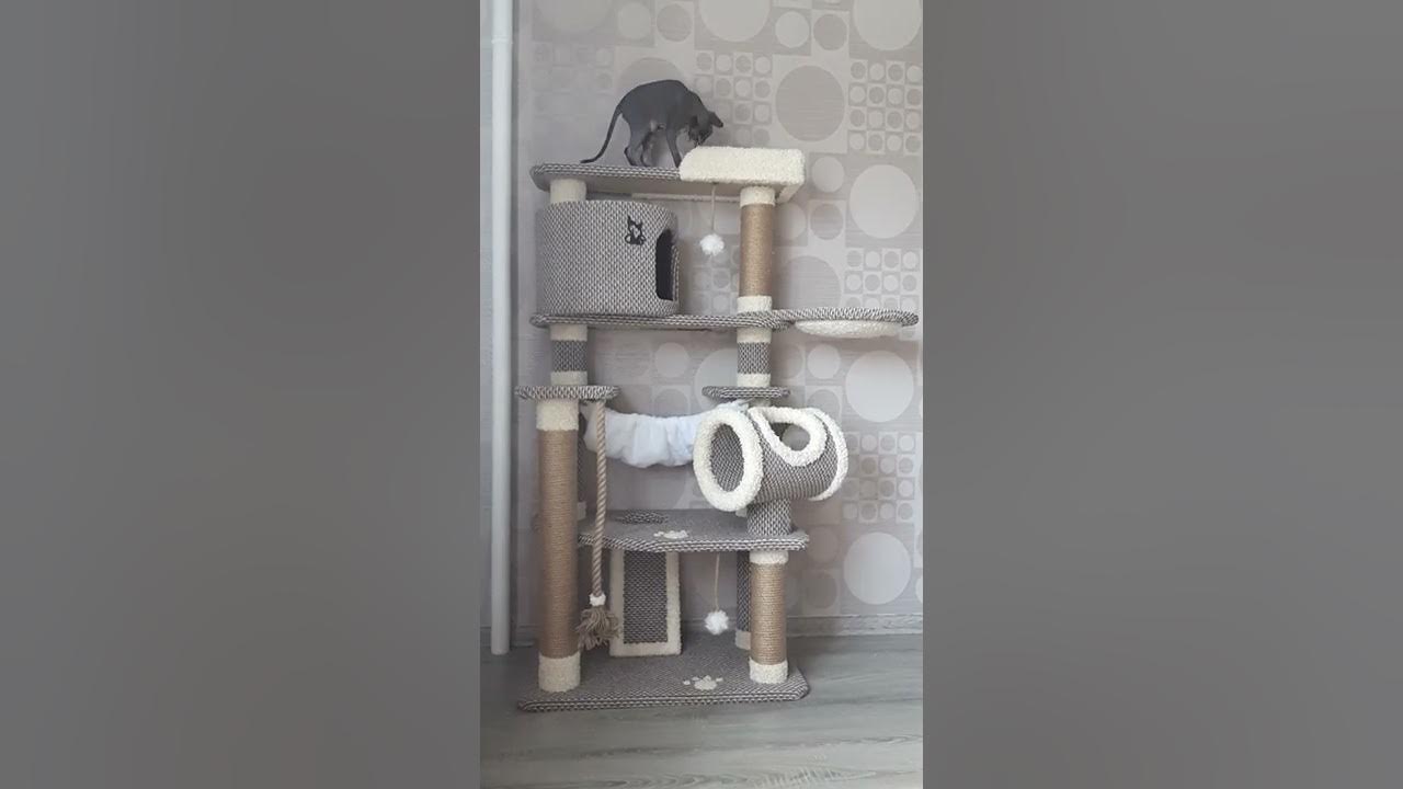 Когтеточка домик для кошек ЛФ-18 Видео 2 х сфинксов от производителя ...