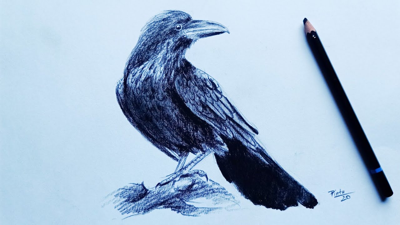 How to draw a crow with a pencil stepbystep drawing tutorial