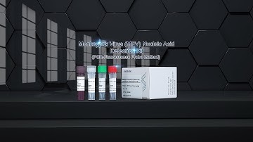 Monkeypox Virus (MPV) Nucleic Acid Detection Kit (PCR-Fluorescence Probe Method)