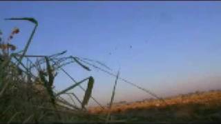 Soar No More Waterfowl 08 Season Teaser