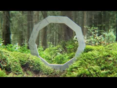 Hybrid Minds & Birdy - State Lines