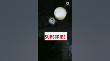 Easy science experiment.  Making the world