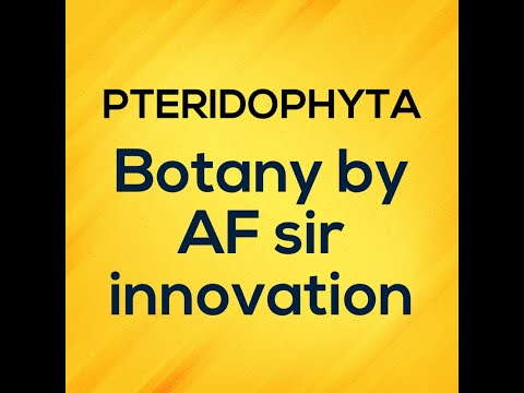 Pteridophyta By AF sir (Botany) || Plant Kingdom for NEET 20223-24 || Innovatin Institute Jaipur - video from Innovation Classes