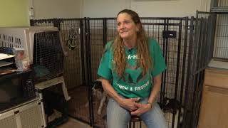 Pet Food Pantry