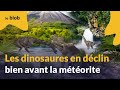 Les dinosaures en déclin bien avant la météorite | Interview