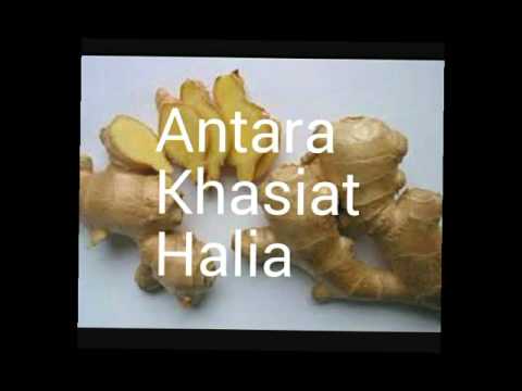 Video: Apakah halia glace?