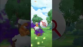 *NEW shadow legendary shiny ✨ dex 😁 #tfgbotyt #pokemongo #rarepokemon  #shinypokemon #viralshort