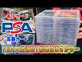 【PSA10率●●％！】PSAから鑑定に出したカードが大量に返ってきた！鑑定結果は…？【PSA】【ポケカ】