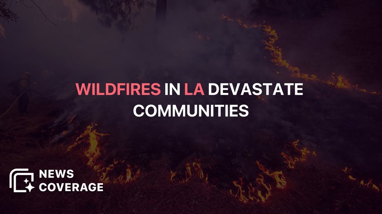 Severe Wildfires in Los Angeles Devastate Communities and Ecosystems | News Coverage
