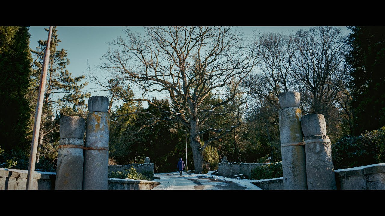 Nikon ZR - RED Raw 6K / Hodruša - Hámre, Arborétum Mlyňany SAV /